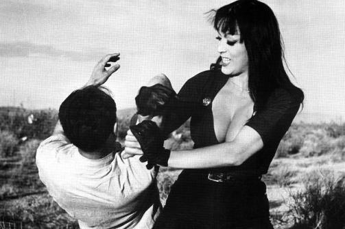 szybciej_koteczku_tura_satana