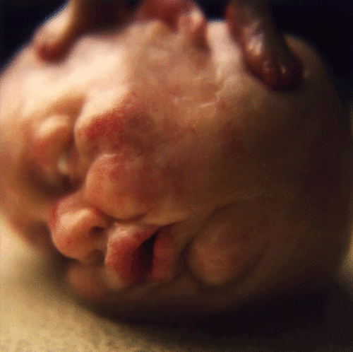 tumblr_lw62jqijF61r78cyoo1_500 (1)