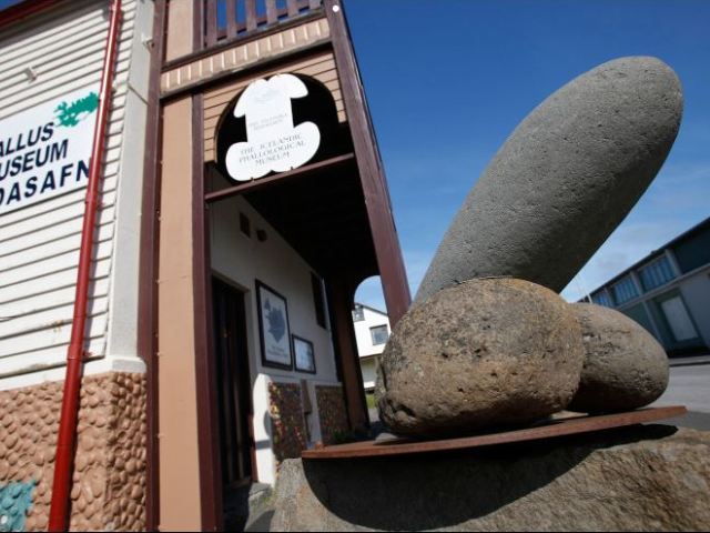 iceland_penis_museum7